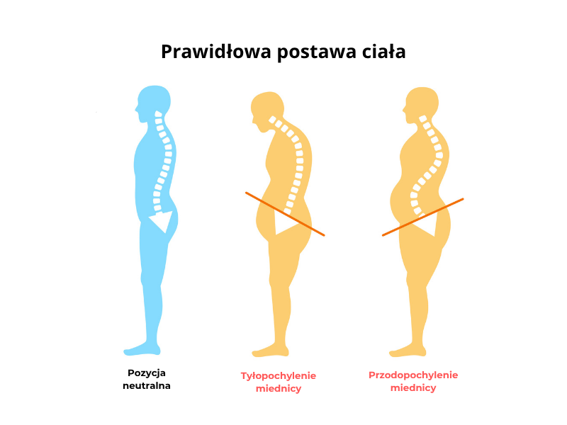  prawidlowa _postawa ciala