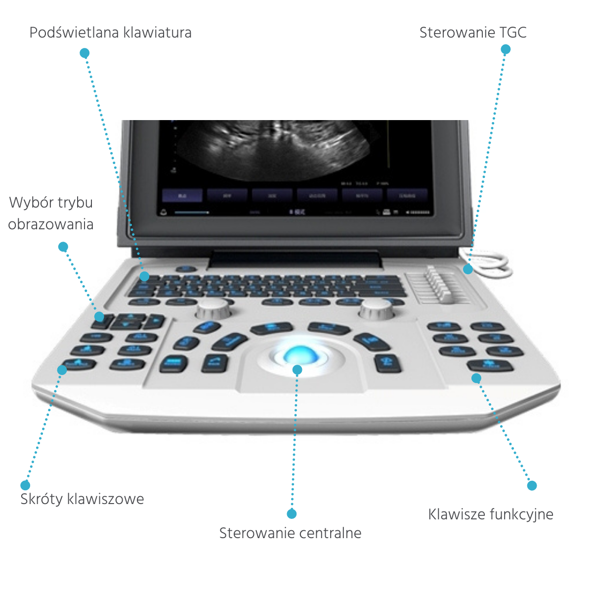 aparat USG dla fizjoterapeuty