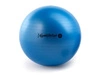 Original Pezzi® Gymnastik Ball Maxafe® 65cm